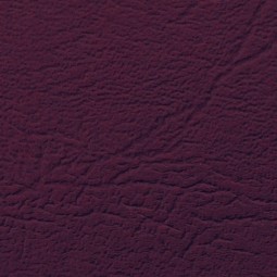 Couvertures Grain Cuir A4...