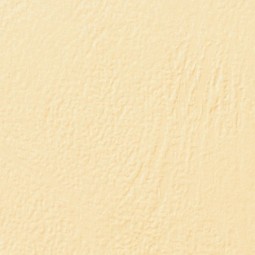 Couvertures Grain Cuir A4...