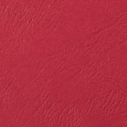 Couvertures Grain Cuir A3...